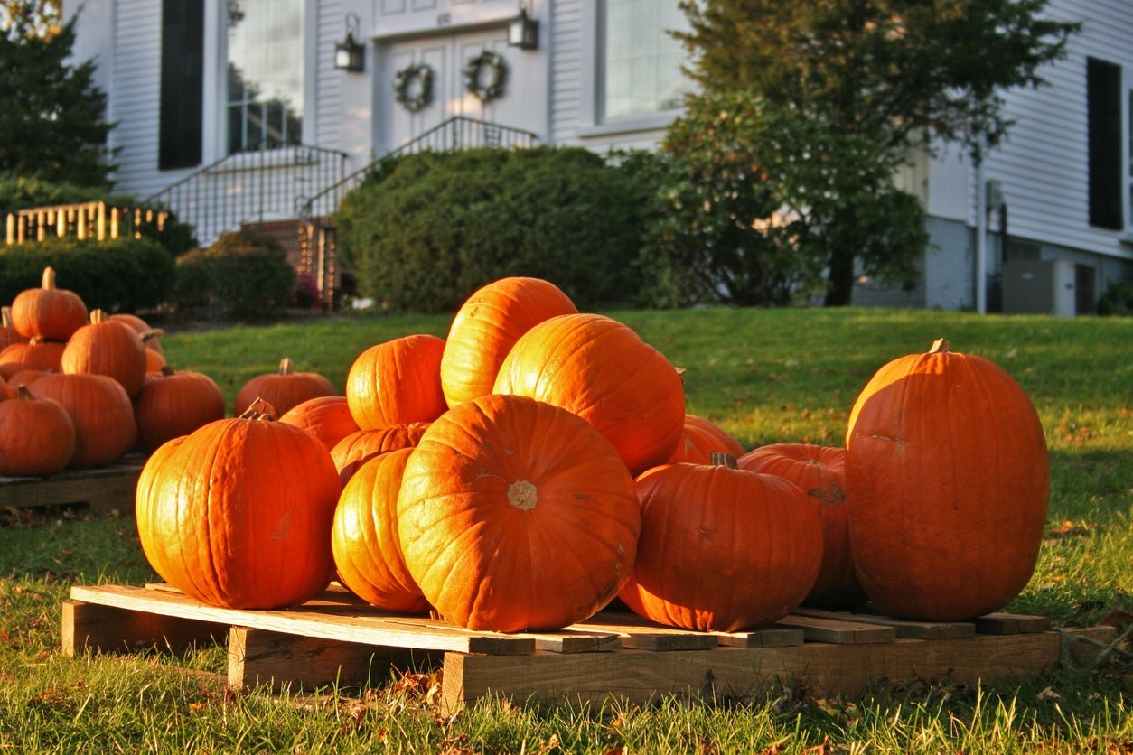 Bob Vila’s 10 “Must Do” Projects for October
