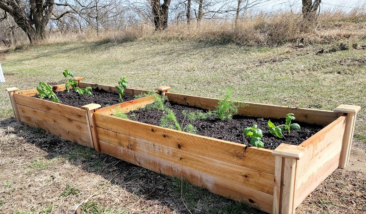 After Extensive Testing, These Are Our 9 Best Raised Garden Beds for Growing Plants