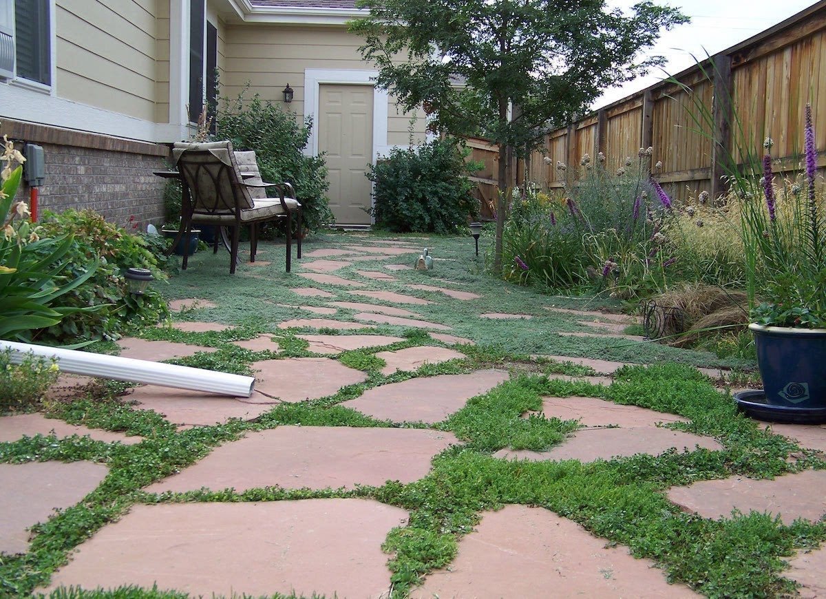 Side Yard Upgrades: 14 Ideas for Transforming This Forgotten Outdoor Space