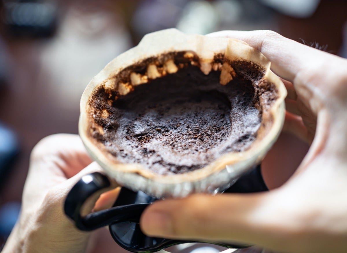 14 Smart Ways to Use Old Coffee Grounds