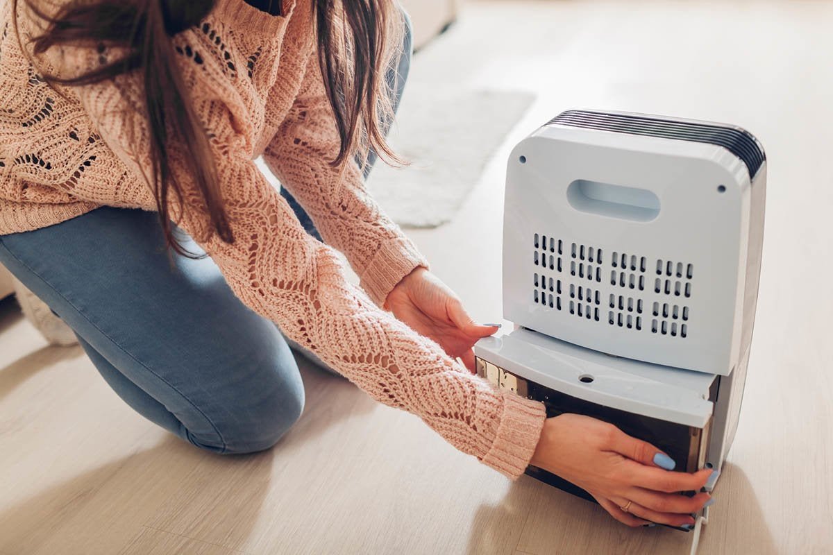The Best Dehumidifiers of 2022