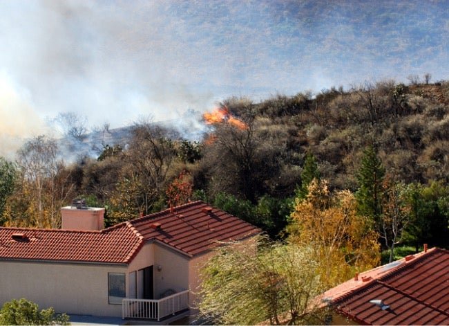 How to Protect Your Property From Wildfires