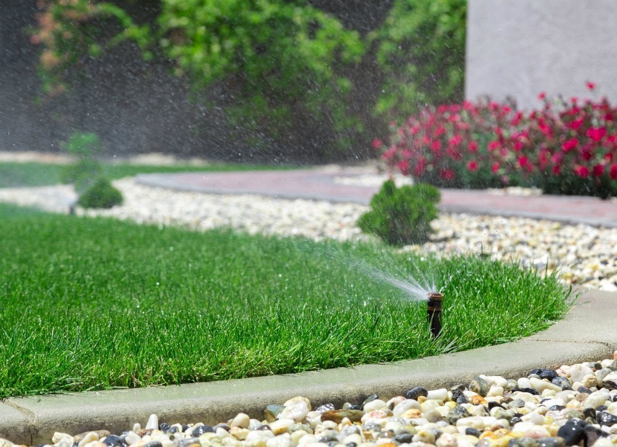 11 Ways You're Accidentally Ruining Your Lawn