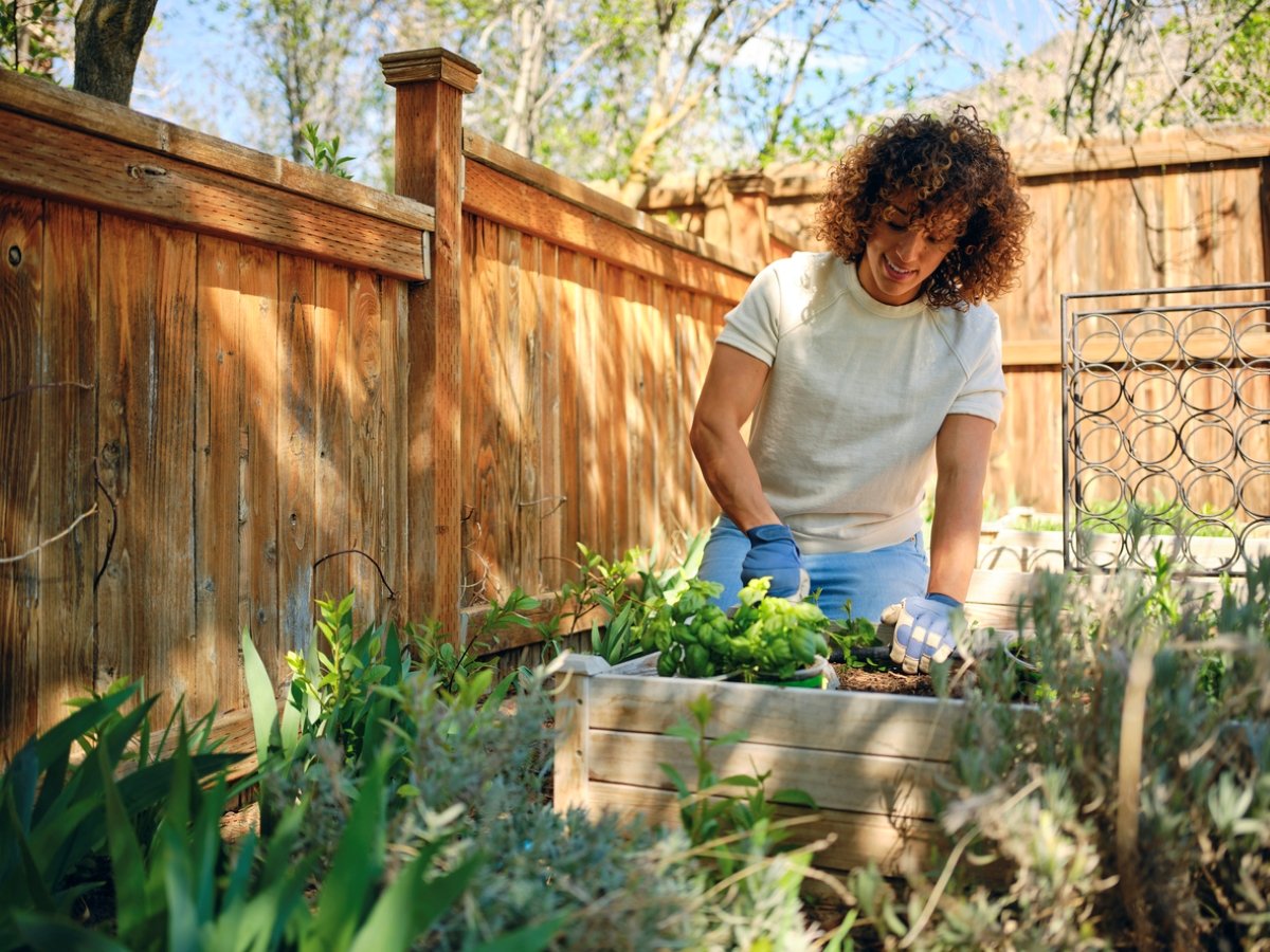 15 Vegetables That Grow in Shade