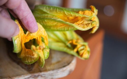 Why You Should Hand-Pollinate Some of Your Veggies This Year—and How to Do It