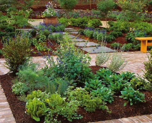Add a Little Spice to Your Life with a Culinary Herb Garden