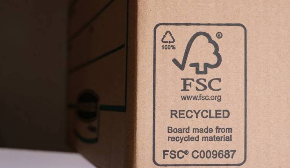 What Is FSC-Certified Wood, and Should I Buy It?