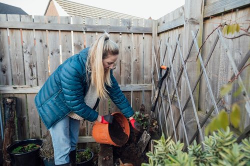 Gardening Chores You Should Be Doing Right Now