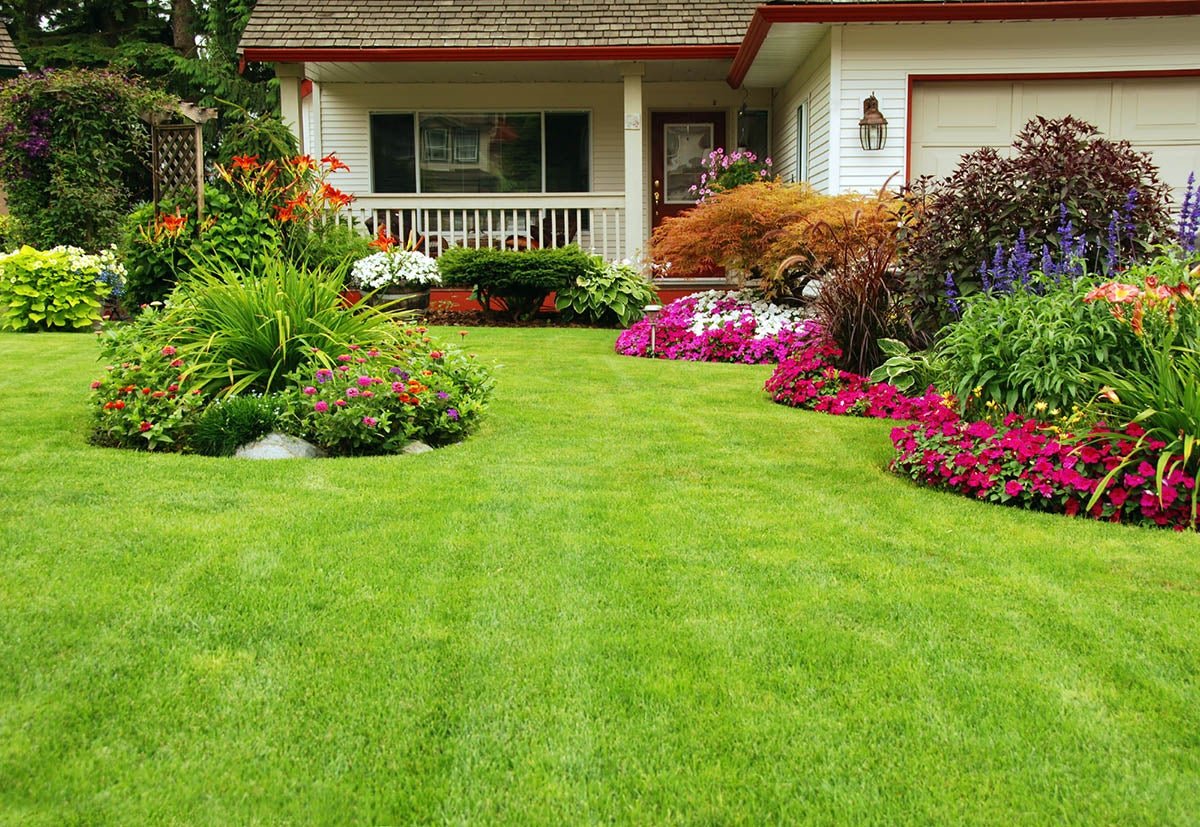 5 Simple Steps to Overseeding a Lawn