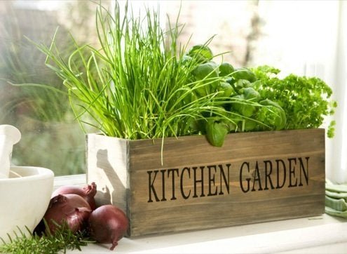 Add Flavor to Your Kitchen with a Winter Herb Garden