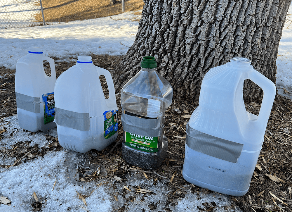 This Age-Old Winter Gardening Hack Will Save You Time (and Money!) Come Spring