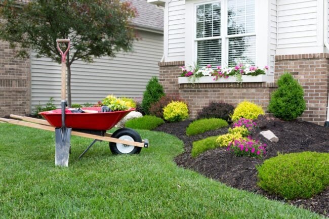 Avoid Volatile Fertilizer Prices With This Alternative for Your Home Landscape