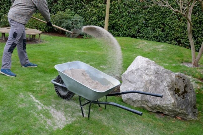 Your Most Frequently Asked Spring Lawn Care Questions, Answered - cover