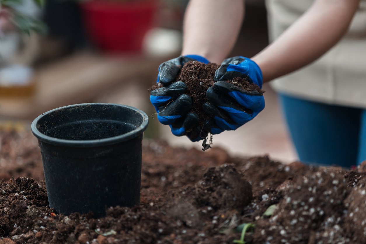 Solved! Can You Reuse Potting Soil?