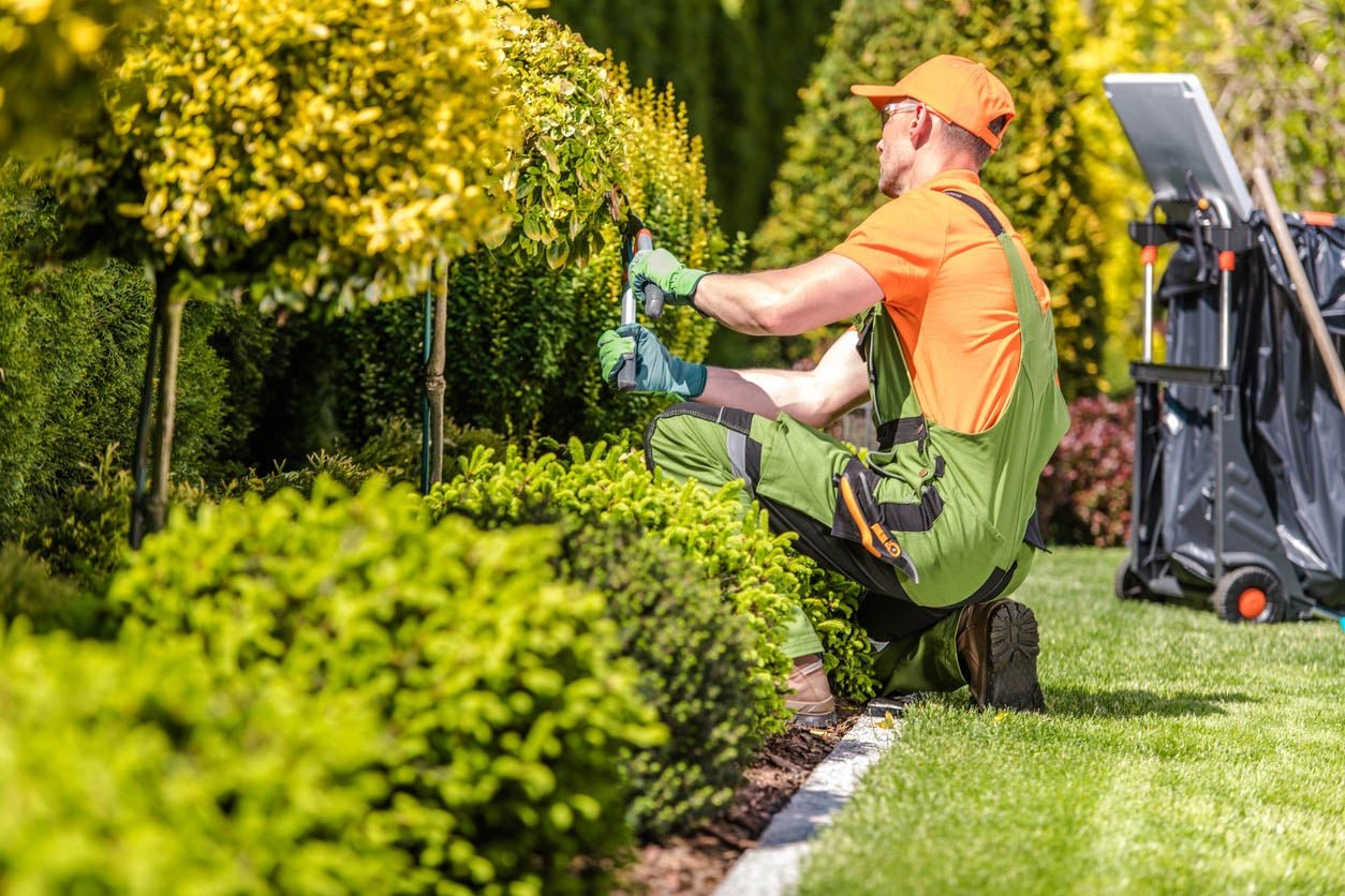 How Much Does Landscaping Cost?