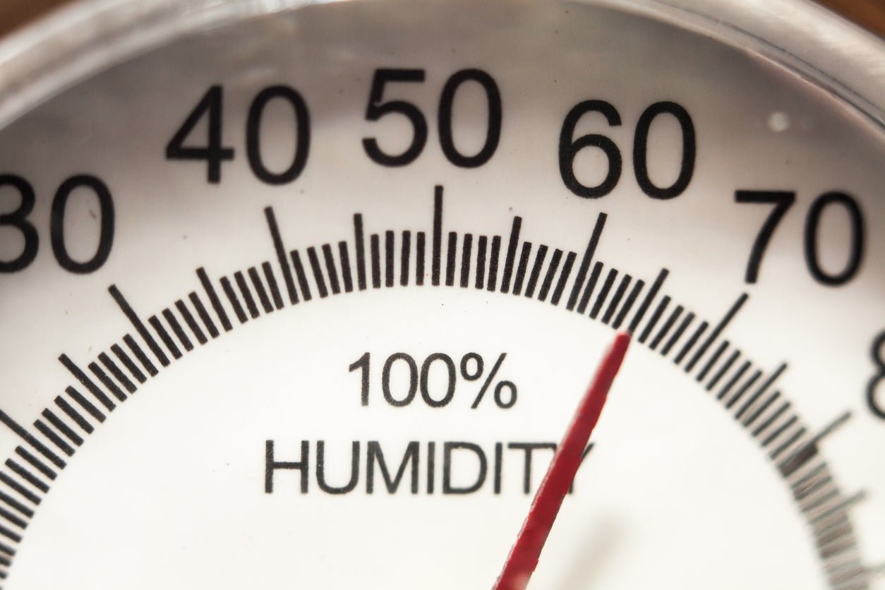 Solved! This Is Your Home’s Ideal Indoor Humidity Level