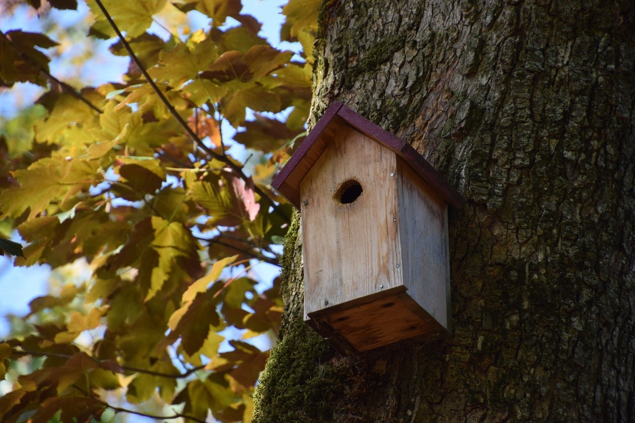 How To: Make a Birdhouse