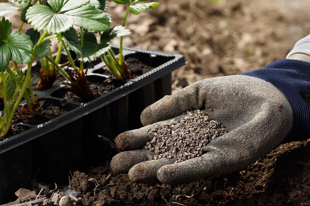 The Best Organic Fertilizers of 2023