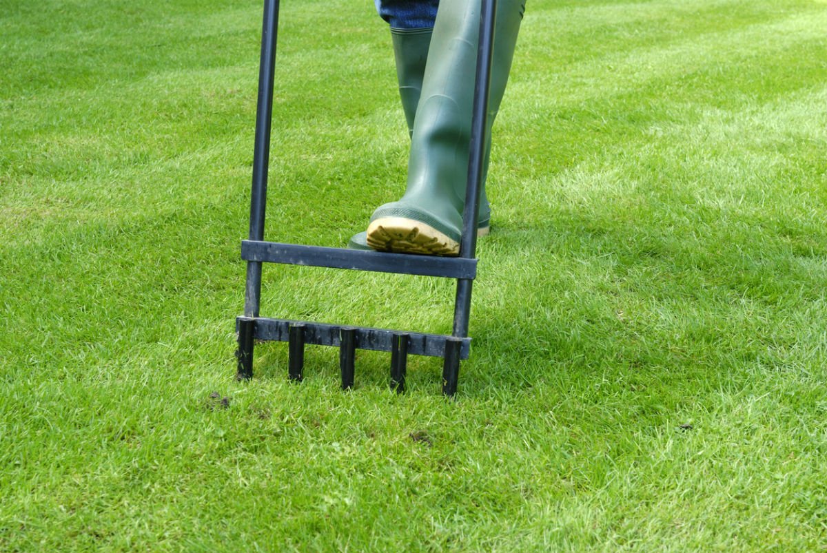 Solved! Here's Exactly When You Should Aerate the Lawn
