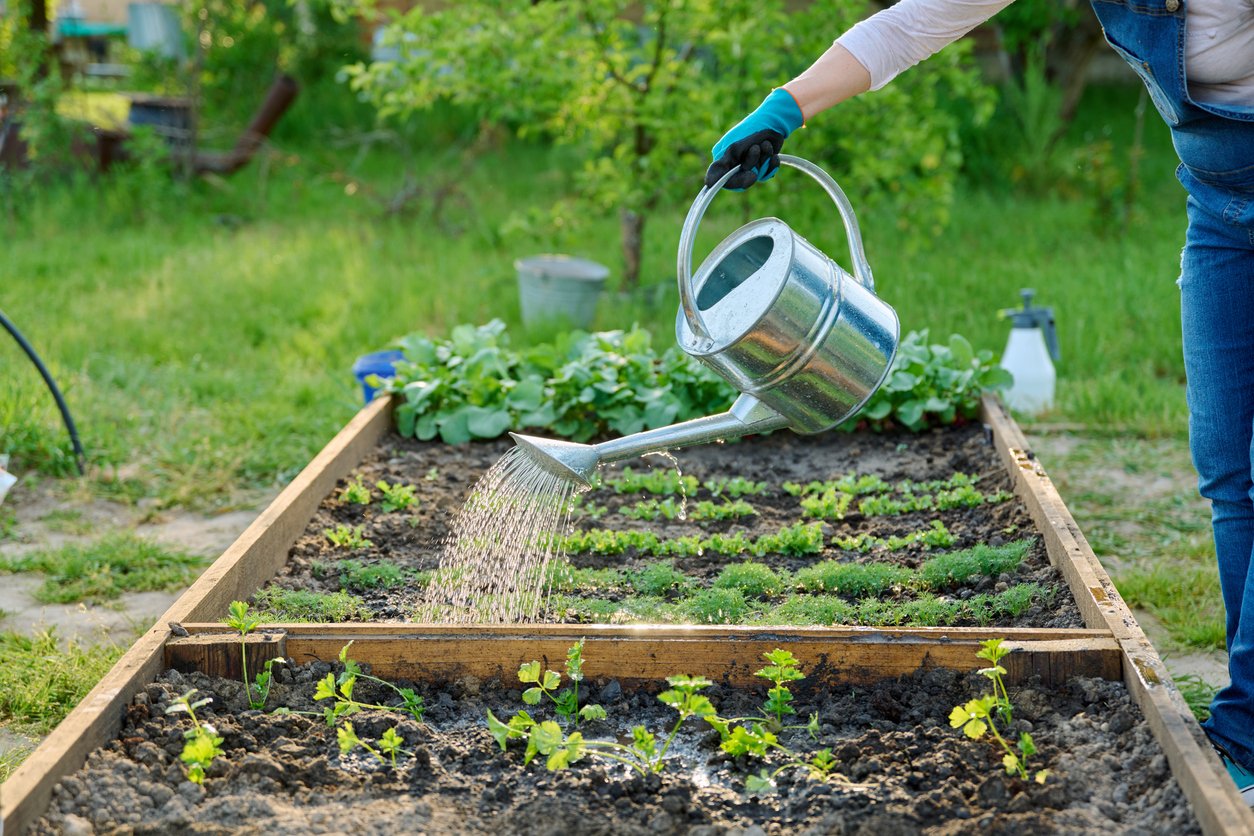 12 Raised Garden Bed Plans for Building Your Ideal Plot