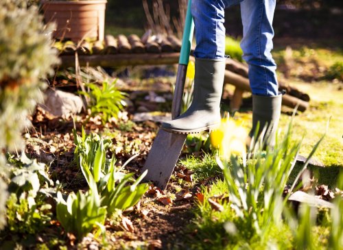 7 Garden Design Tips for Lusher Flower Beds