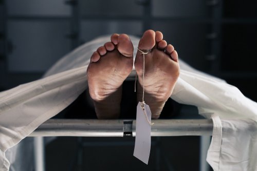 Death: a process, not a point, says cutting-edge research