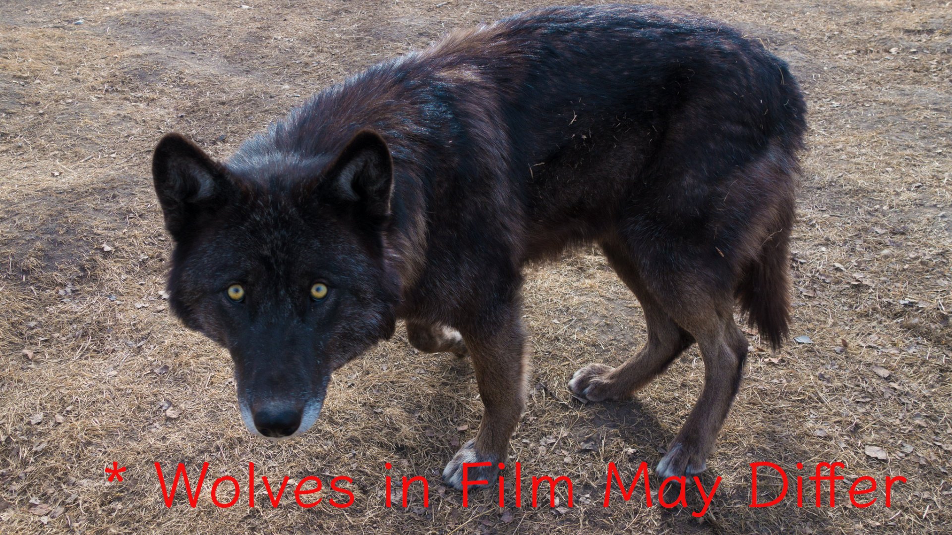 4K restoration of Princess Mononoke heading to IMAX theaters next week