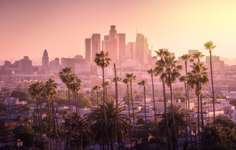 This Los Angeles man-on-the-street interview is internet gold