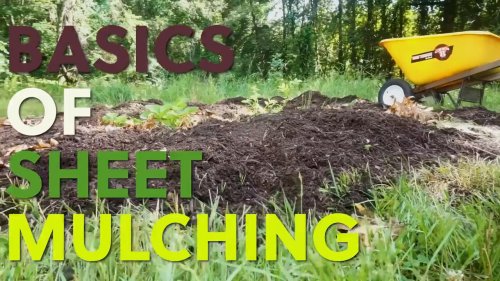 How to Build Soil and Suppress Weeds With Sheet Mulching