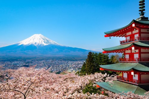 Japan launches new eVisas for Americans and Canadians - does that mean it's ready to fully reopen? - Lonely Planet