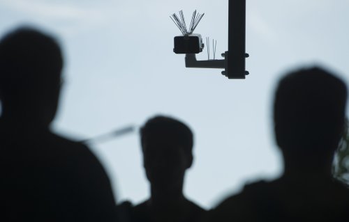 Everything, everywhere, all at once surveillance