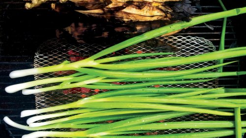 Are Scallions and Green Onions the Same Thing? What About Spring Onions?