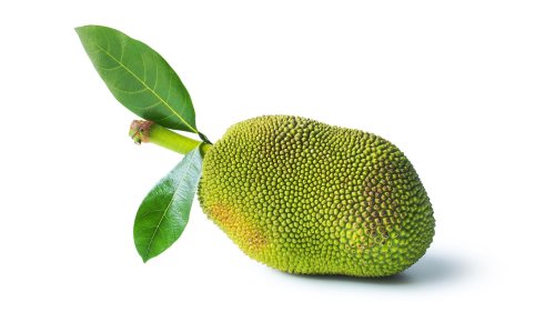 What Is Jackfruit, the Meat Substitute Showing Up on Menus Everywhere?