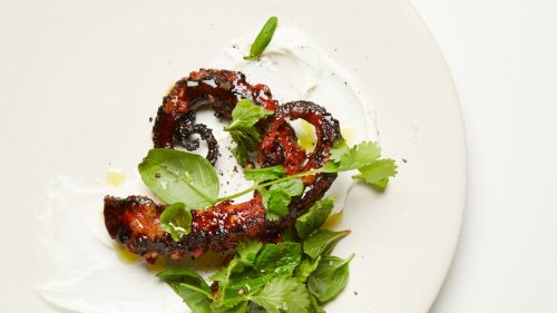 A Step-by-Step Guide to Getting Over Your Fear of Octopus
