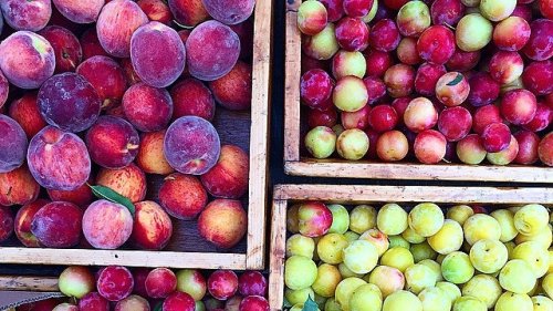 How to Buy Peaches, Plums, and Other Stone Fruit at the Market