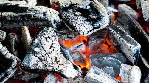 Everything You Need to Know About Charcoal, from Briquettes to Binchotan