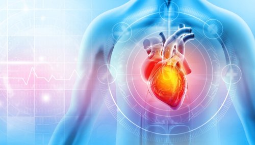 16:8-Intervallfasten hat womöglich dramatische Auswirkungen auf das Herz