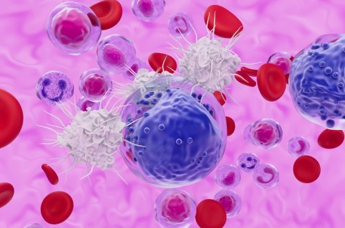 Bestimmte Ernährungsform könnte das Immunsystem lahmlegen