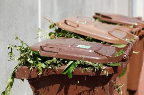 Änderung bei der Biotonne ab Mai! In welchen Fällen Bußgeld droht