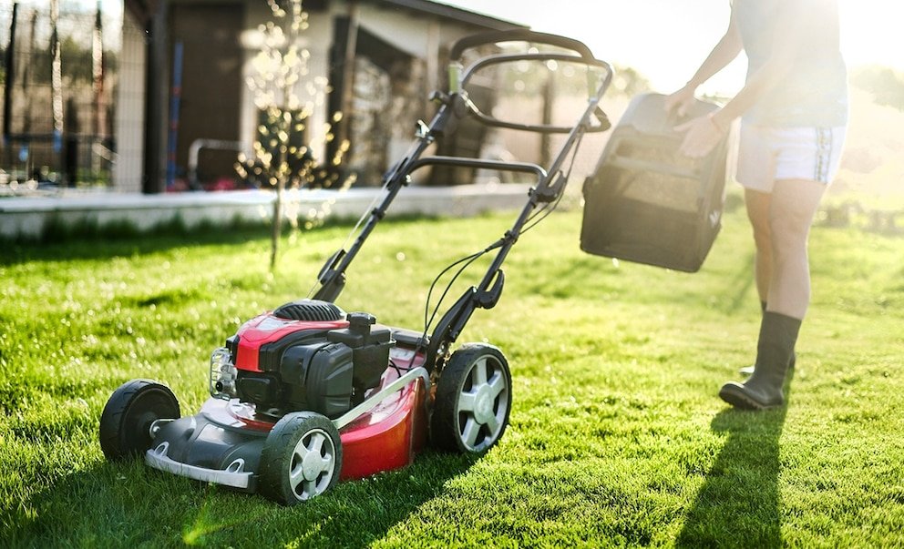 Wann man den Rasen im Frühling das erste Mal mähen sollte