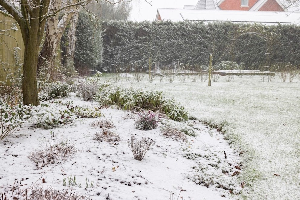Ist der Februar trocken und kalt, kommt …
