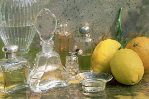6 zitrisch-frische Parfums, die perfekt in den Frühling passen