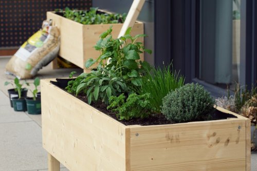 7 häufige Fehler beim Bauen und Befüllen eines Hochbeets