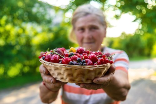 Wer mit 60 Jahren fit bleiben will, sollte auf Beeren und schwarzen Tee setzen