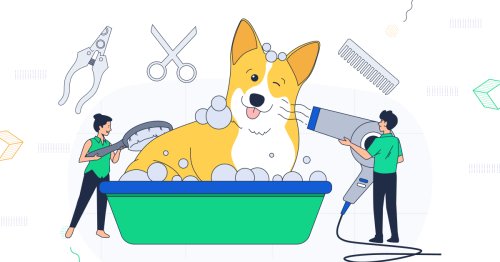 How to Build a Pet Grooming Website on WordPress