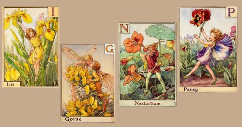 Cute and Charming Flower Fairies Alphabet by Cicely Mary Barker