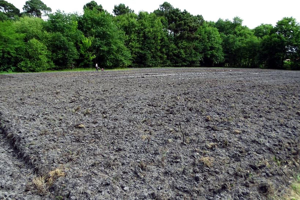 ACPI : un nouveau départ à la Ferme du Peugue à Pessac