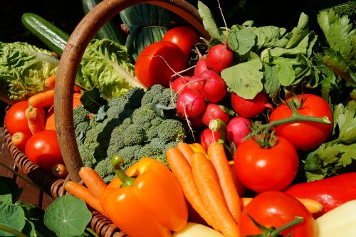 Une solution anti-gaspillage alimentaire au service des Bordelais