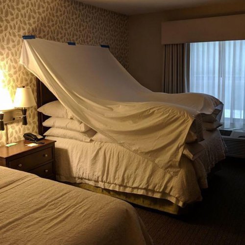 103 Creative Things Hotel Staff Left Behind For Customers To Find (New Pics)