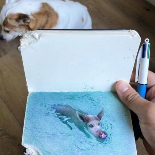 30 Sketchbook Drawings By Nicolas V. Sanchez That Show The Power Of Ballpoint Pen Art